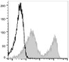 GenieFluor 488 Anti-Mouse CD90.2 Antibody [30H12] (AGEL1220)