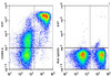 GenieFluor 647 Anti-Mouse CD90.2 Antibody [30H12] (AGEL1221)