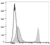PE/Cyanine7 Anti-Mouse CD4 Antibody [GK1.5] (AGEL1250)