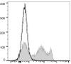 FITC Anti-Rat CD8a Antibody [OX-8] (AGEL1255)