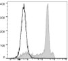 GenieFluor 488 Anti-Rat CD8a Antibody [OX-8] (AGEL1272)