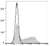 PE Anti-Mouse IFN-κ Antibody [XMG1.2] (AGEL1294)