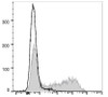 APC Anti-Mouse IFN-κ Antibody [XMG1.2] (AGEL1295)