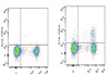 GenieFluor 488 Anti-Mouse CD25 Antibody [PC-61.5.3] (AGEL1303)
