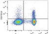 PE/Cyanine5 Anti-Mouse CD25 Antibody [PC-61.5.3] (AGEL1308)