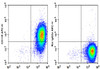 APC Anti-Mouse CD115 Antibody [AFS98] (AGEL1367)
