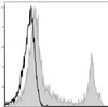GenieFluor 488 Anti-Mouse CD45R/B220 Antibody [RA3.3A 1/6.1] (AGEL1416)