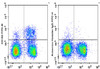 FITC Anti-Mouse CD183/CXCR3 Antibody [CXCR3-173] (AGEL1428)