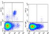 GenieFluor 647 Anti-Mouse CD49b Antibody [DX5] (AGEL1444)