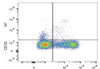GenieFluor 647 Anti-Human CD123 Antibody [6H6] (AGEL1460)