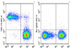 APC Anti-Mouse TER-119 Antibody [TER-119] (AGEL1569)