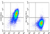 PE Anti-Mouse CD206 Antibody [C068C2] (AGEL1652)
