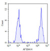 TUNEL 1-Step In Situ Apoptosis Kit (FL594) (AKES073)