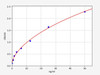 Ovalbumin (OVA) ELISA Kit (AEFI01012)