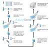 {"image_name": "Assay Protocol", "image_description": "Step-by-step workflow of the sandwich ELISA: add standards and samples, incubate at 37\u00b0C, wash, add detection antibody and SABC, develop with TMB, then read absorbance at 450 nm."}