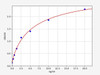 Human Metabolism ELISA Kits Human PEX2 / Peroxisomal Biogenesis Factor 2 ELISA Kit