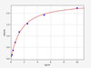 Human Immunology ELISA Kits 25 Human RAMP1 Receptor activity-modifying protein 1 ELISA Kit HUFI08029