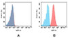 CD93 (Biosimilar) mAb (HDBS0158)