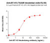 B7-H3 (TAA06 biosimilar) mAb (HDBS0162)