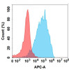 FZD10 (Tabituximab biosimilar) mAb (HDBS0167)