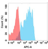 GPRC5D (LBL-034 biosimilar) mAb (HDBS0180)