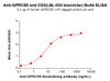 GPRC5D and CD3 (LBL-034 biosimilar) BsAb (HDBS0181)