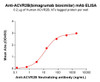 ACVR2B (Bimagrumab biosimilar) mAb (HDBS0210)
