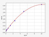 Hamster TIMP-2 ColorStep ELISA Kit (AEFI01900)