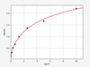 Human NFE2L3 ColorStep ELISA Kit (AEFI02494)