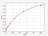 Rat BLC (B-Lymphocyte Chemoattractant) ColorStep ELISA Kit (AEFI03499)
