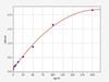 Rat NTXI ColorStep ELISA Kit (AEFI03510)