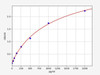 Rabbit IL-8 ColorStep ELISA Kit (AEFI03561)
