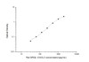 Rat GRObeta/CXCL2 (Growth Regulated Oncogene Beta) ELISA Kit (AEES00753)