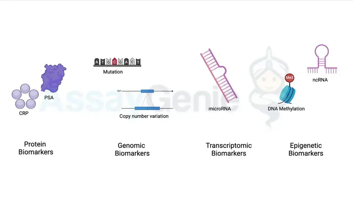 Biomarker-Tests: Fortschritte, Anwendungen und zukünftige Richtungen