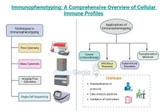 Immunphänotypisierung: Eine umfassende Analyse zellulärer Immunprofile