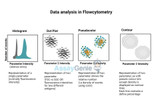 Datenanalyse in der Durchflusszytometrie: Komplexität für wissenschaftliche Erkenntnisse nutzen