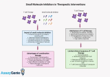 Vorteile niedermolekularer Inhibitoren bei therapeutischen Interventionen