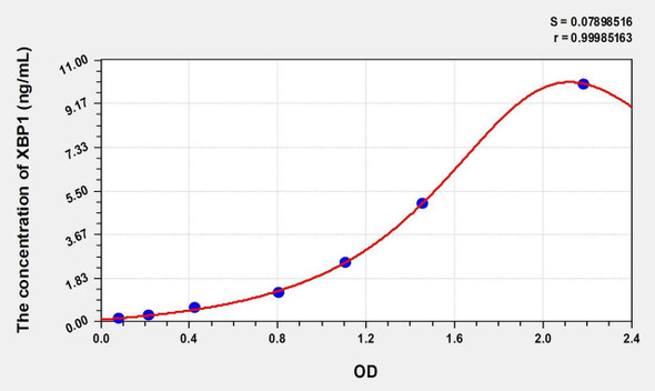 Human XBP1 (X-Box Binding Protein 1) ELISA (Small Sample Volume) (AEKE07499)
