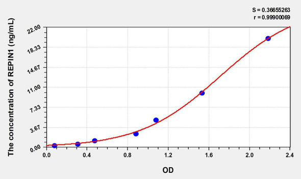 Human REPIN1 (Replication Initiator 1) ELISA Kit (AEKE07939)