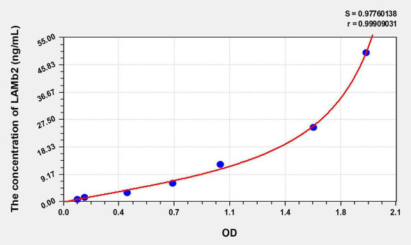 Human LAMb2 (Laminin Beta 2) ELISA Kit (AEKE08165)