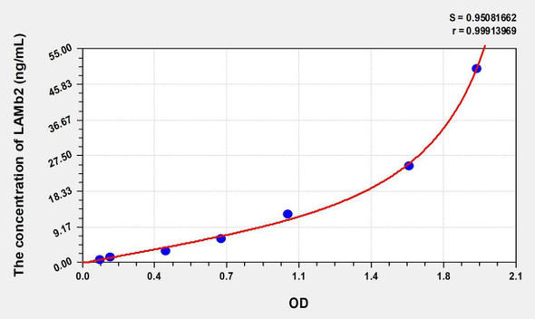 Human LAMb2 (Laminin Beta 2) ELISA (Small Sample Volume) (AEKE08166)