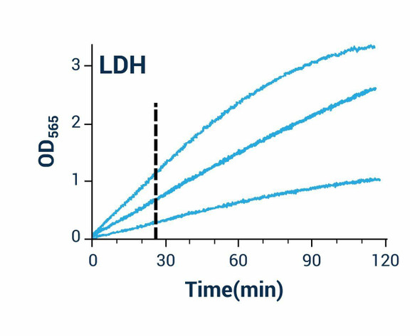 LDH assay kit / Lactate Dehydrogenase Assay kit (Colorimetric) (BA0006)