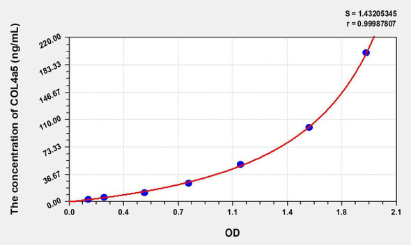 Human COL4a5 (Collagen Type IV Alpha 5) ELISA (Small Sample Volume) (AEKE09229)