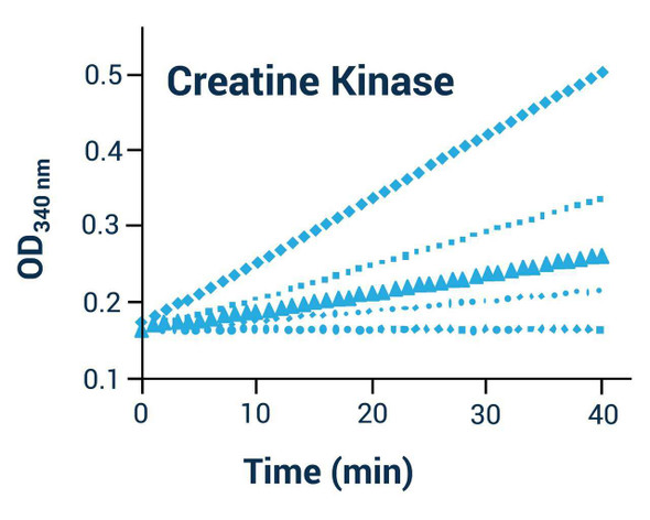 Creatine Kinase Activity Assay Kit (Colorimetric) (BA0094)