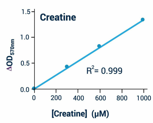 Creatine Assay Kit (Colorimetric/Fluorometric) (BA0095)