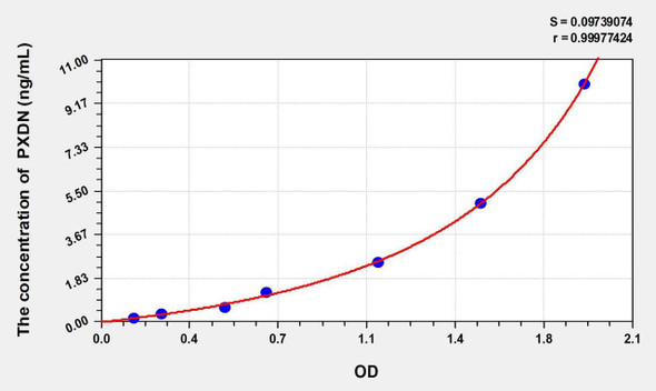 Human PXDN (Peroxidasin Homolog) ELISA Kit (AEKE09982)