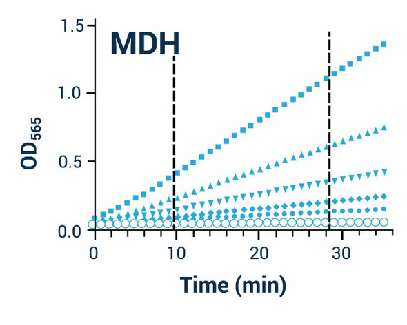 Malate Dehydrogenase Assay (Colorimetric) (BA0131)