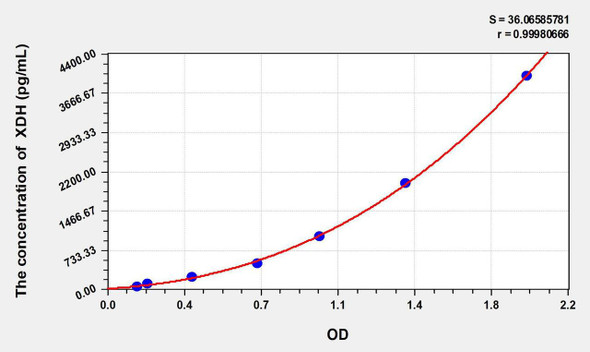 Rat XDH (Xanthine Dehydrogenase) ELISA Kit (AEKE10225)