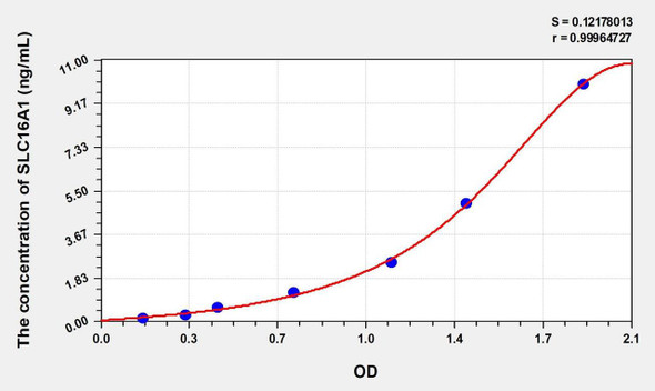Rat SLC16A1 (Solute Carrier Family 16, Member 1) ELISA (Small Sample Volume) (AEKE10298)