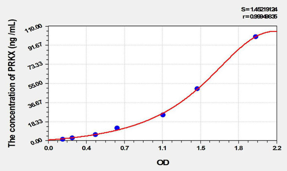 Rat PRKX (Protein Kinase, X-Linked) ELISA Kit (AEKE10396)